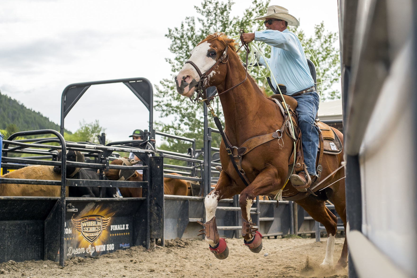 World Series of Team Roping